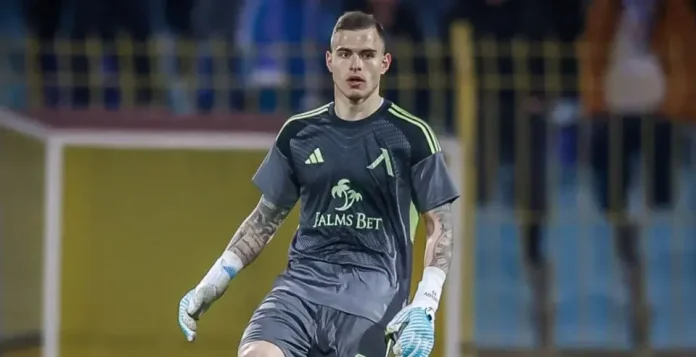 Male soccer goalkeeper in a gray kit and blue gloves stands on the pitch near the goal.